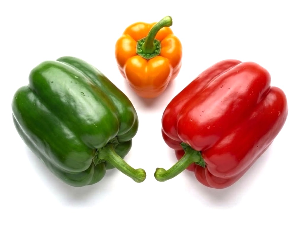 Bell Pepper